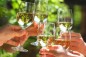 wine-festivals