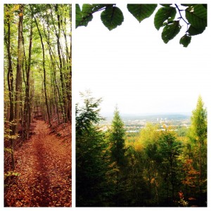 Hiking trip to Humbergturm (Humberg Tower)