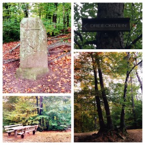 Hiking trip to Humbergturm (Humberg Tower)