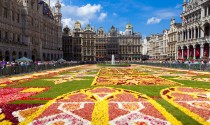 Flower Carpet in Belgium