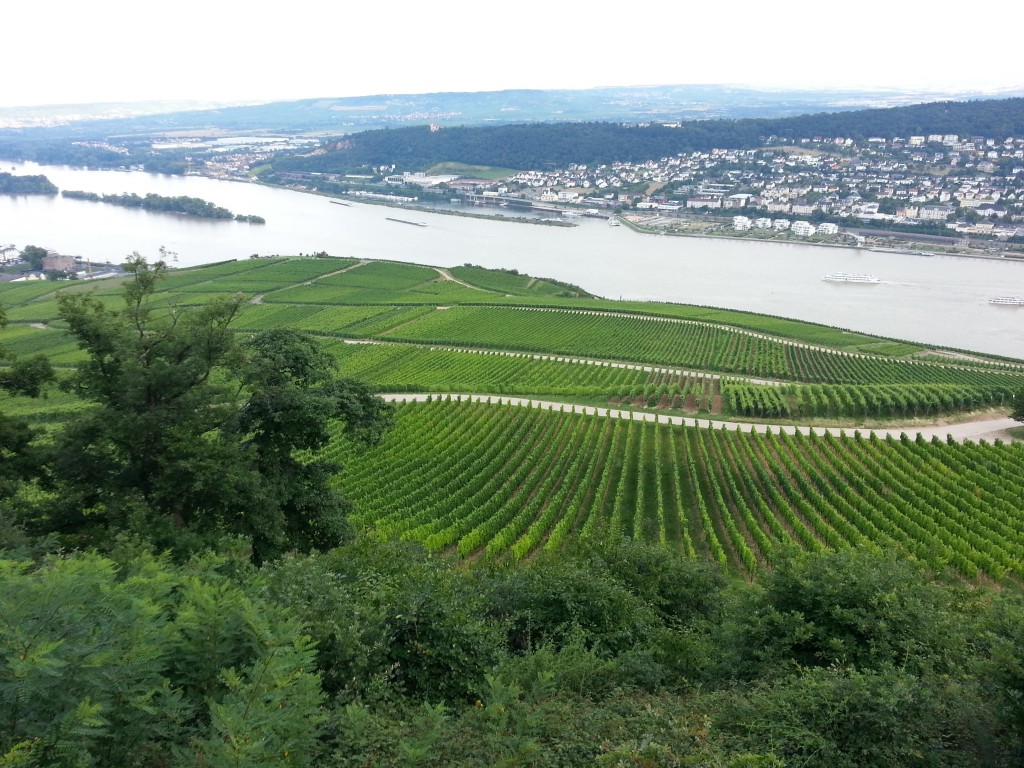 Rudesheim Photo 4