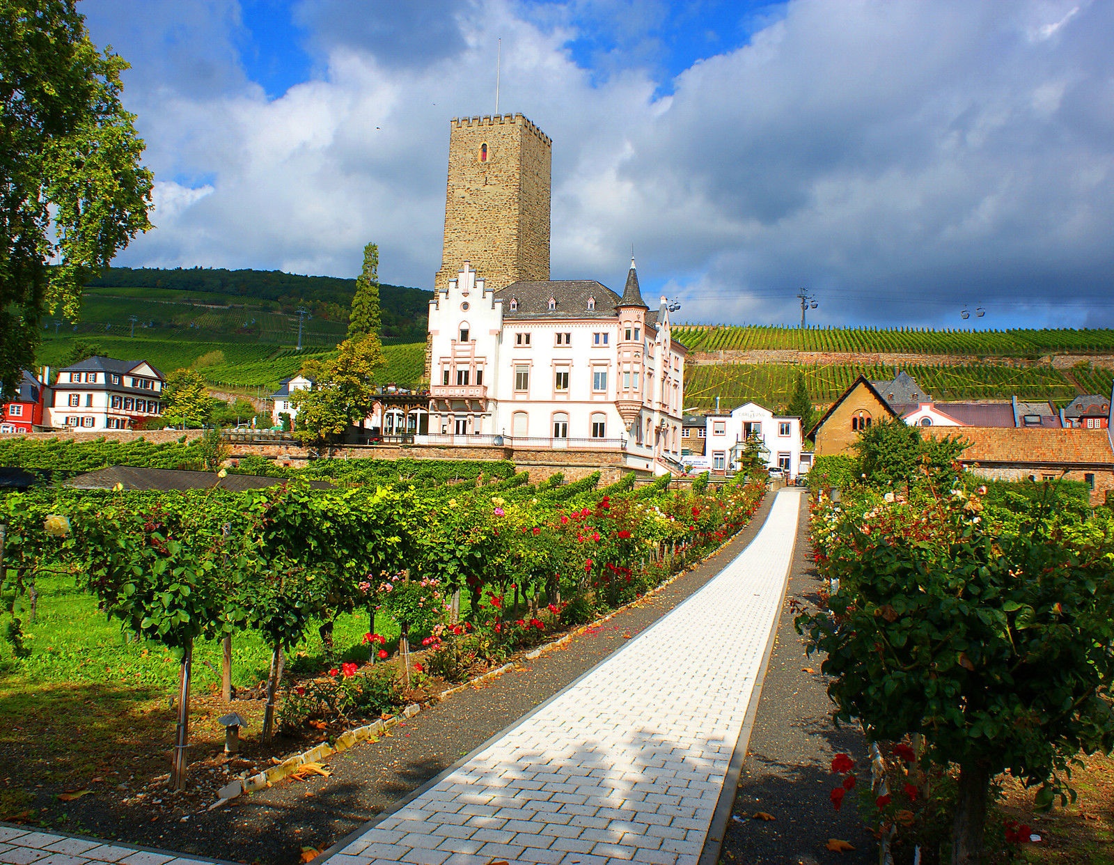 winery tour rudesheim