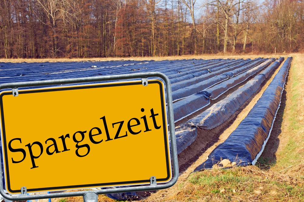 The Season to Get Your Spargel On! Travel, Events & Culture Tips for
