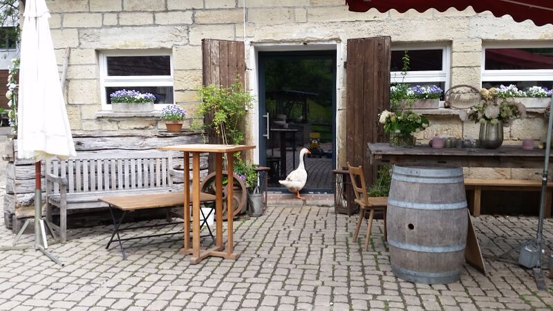 Eselsmühle duck in door