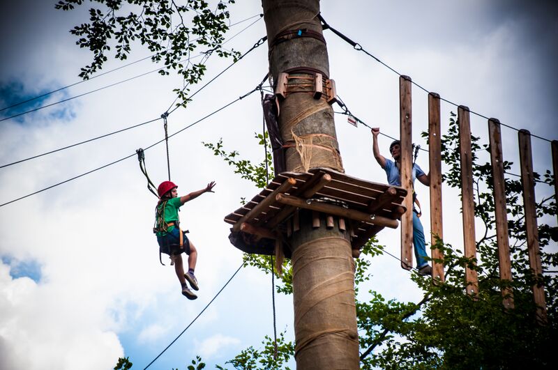 Kletterwald in Neroberg Travel, Events & Culture Tips for Americans