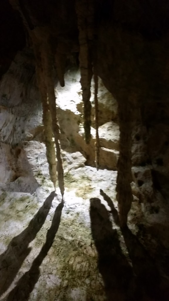 stalactites 1 bear cave