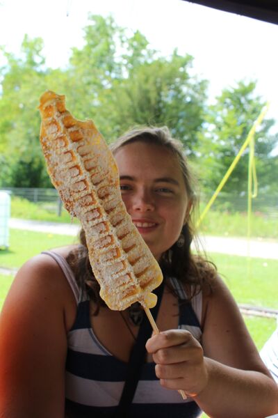 Medieval Madness waffle on a stick Wendy