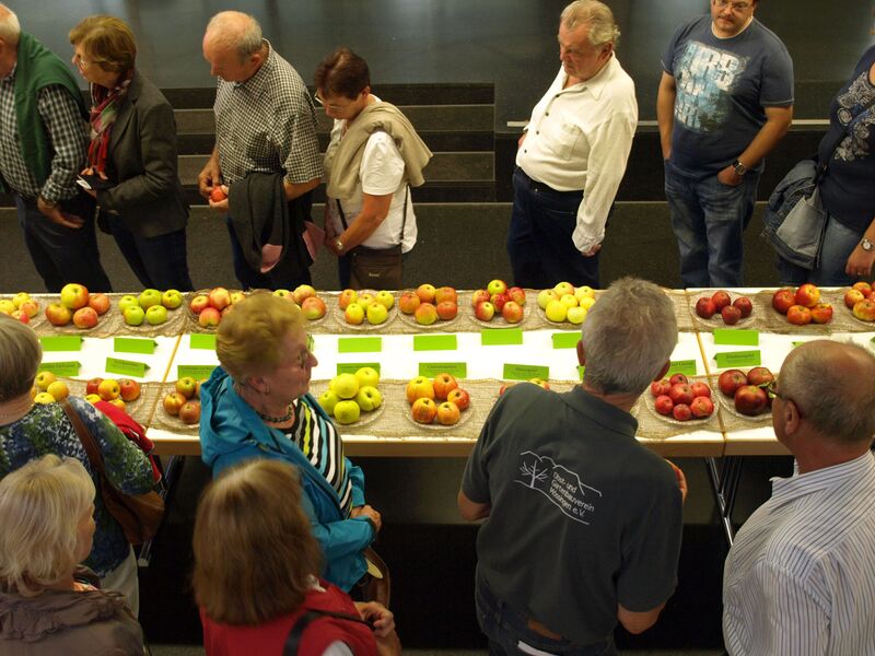 Apfelfest 2015 Uli Eder Mössingen’s Apple Week