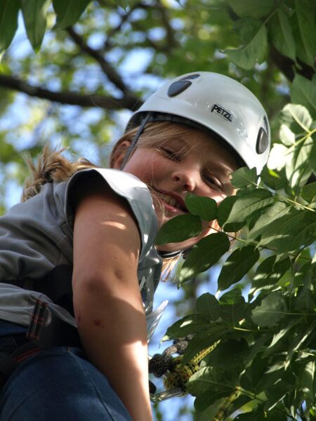 tree climbing Uli Eder Mössingen’s Apple Week
