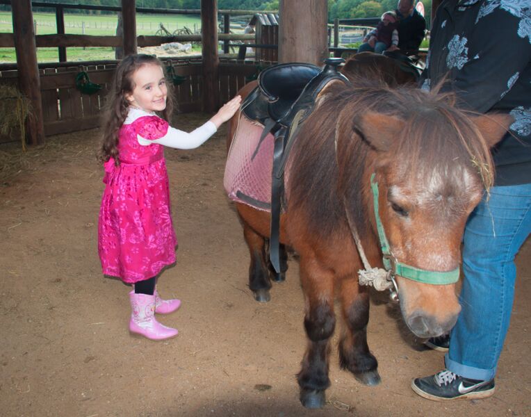 Gemma 10 ride Ponyland Pony Rides, Camping and More!