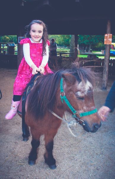 Gemma 11 ride Ponyland Pony Rides, Camping and More!