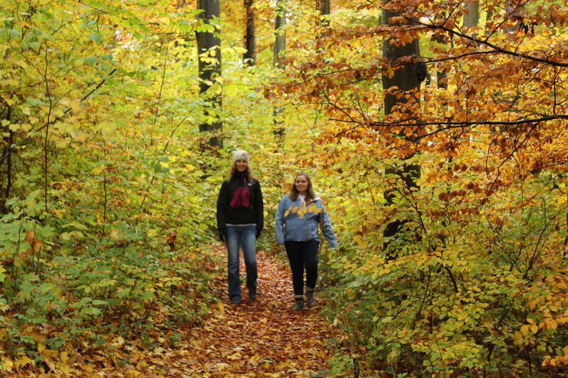 Hiking in Germany - Picture Of Girls Hiking WenDy Walk On The WalD SiDe