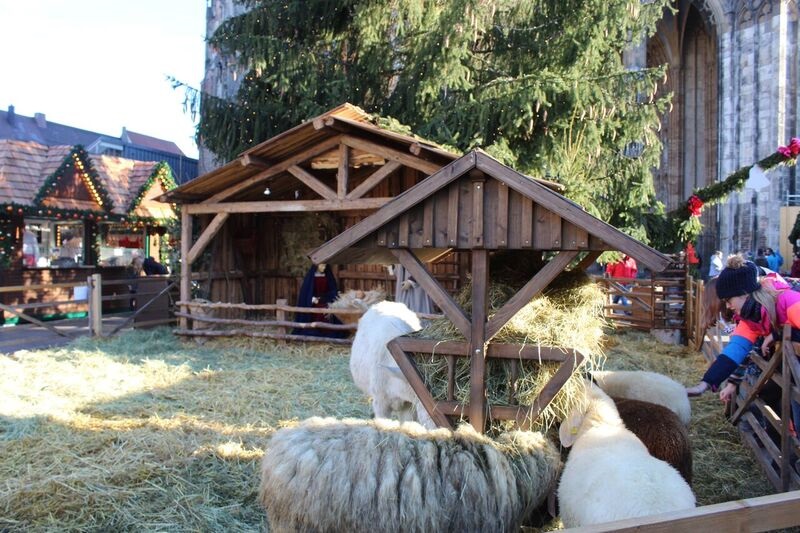 Manger scene Wendy The cathedral and city of Ulm