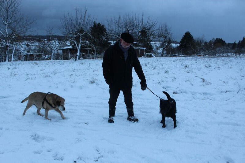 Winter Puppies Wendy Winter fun in the Black Forest