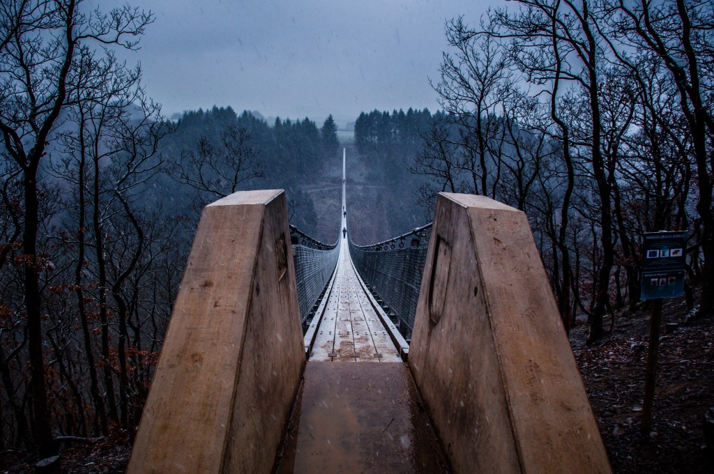 -0406 Gemma Geierlay Germany’s Longest Suspension Bridge