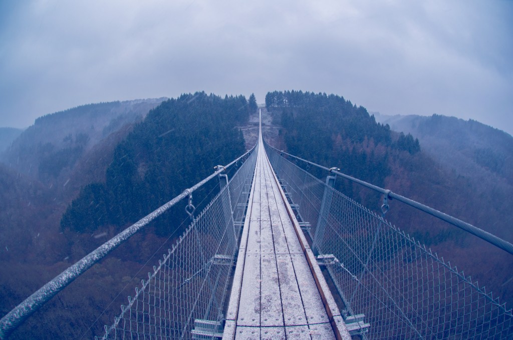 -0423 Gemma Geierlay Germany’s Longest Suspension Bridge