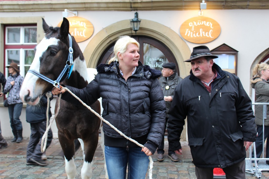 Horse trainers Wendy Leonberg Horse Market 16