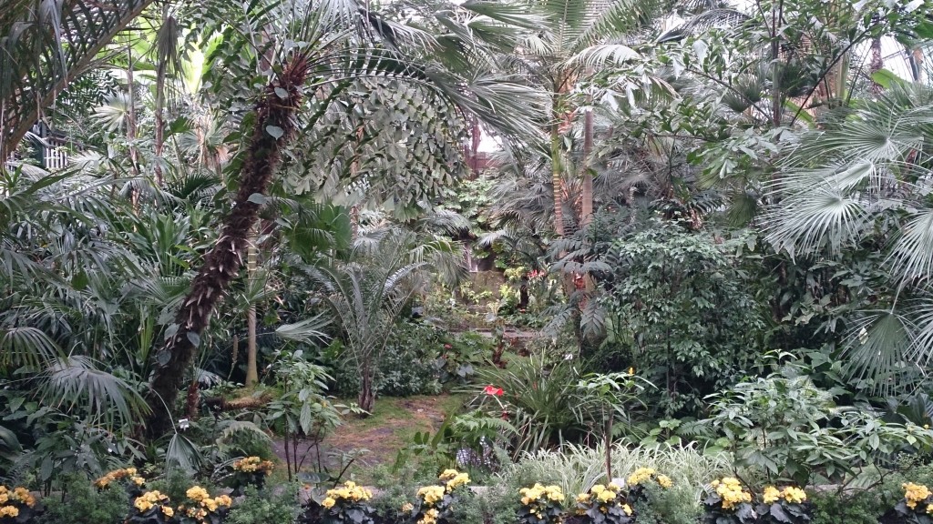 Palm House Interior Kelly PalmenGarten Frankfurt 16