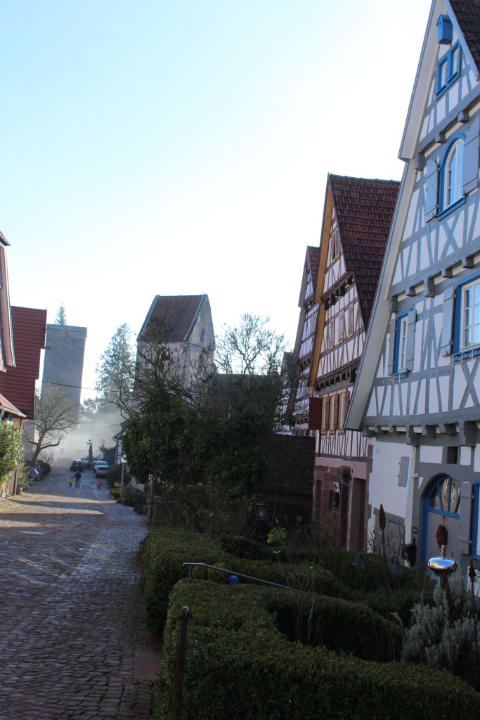 view of zavelstein Wendy Twin Towns in the Black Forest 16