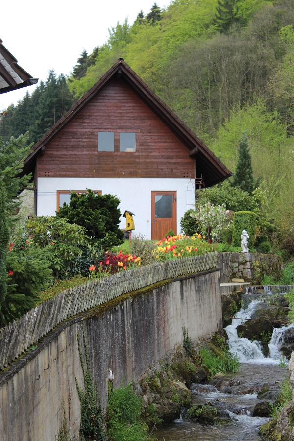 MIG - Black Forest view Wendy Wine Walks near Stuttgart May 16