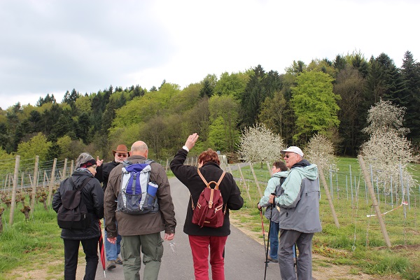 MIG - Jutta follow me Wendy Wine Walks near Stuttgart May 16