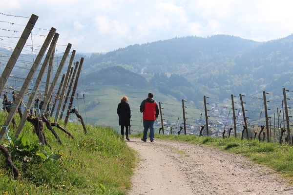 MIG - family walk Wendy Wine Walks near Stuttgart May 16