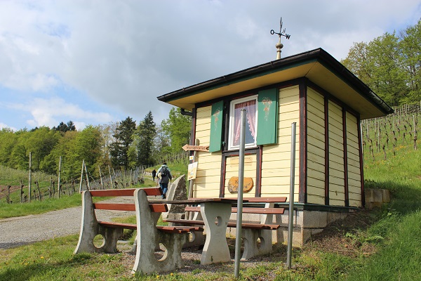 MIG - wine house Wendy Wine Walks near Stuttgart May 16