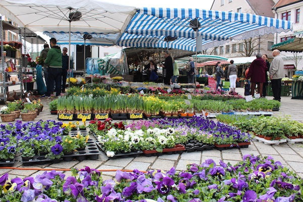 MIG - Ehingen market (1) Wendy Beer Culture and the town of Ehingen June 16