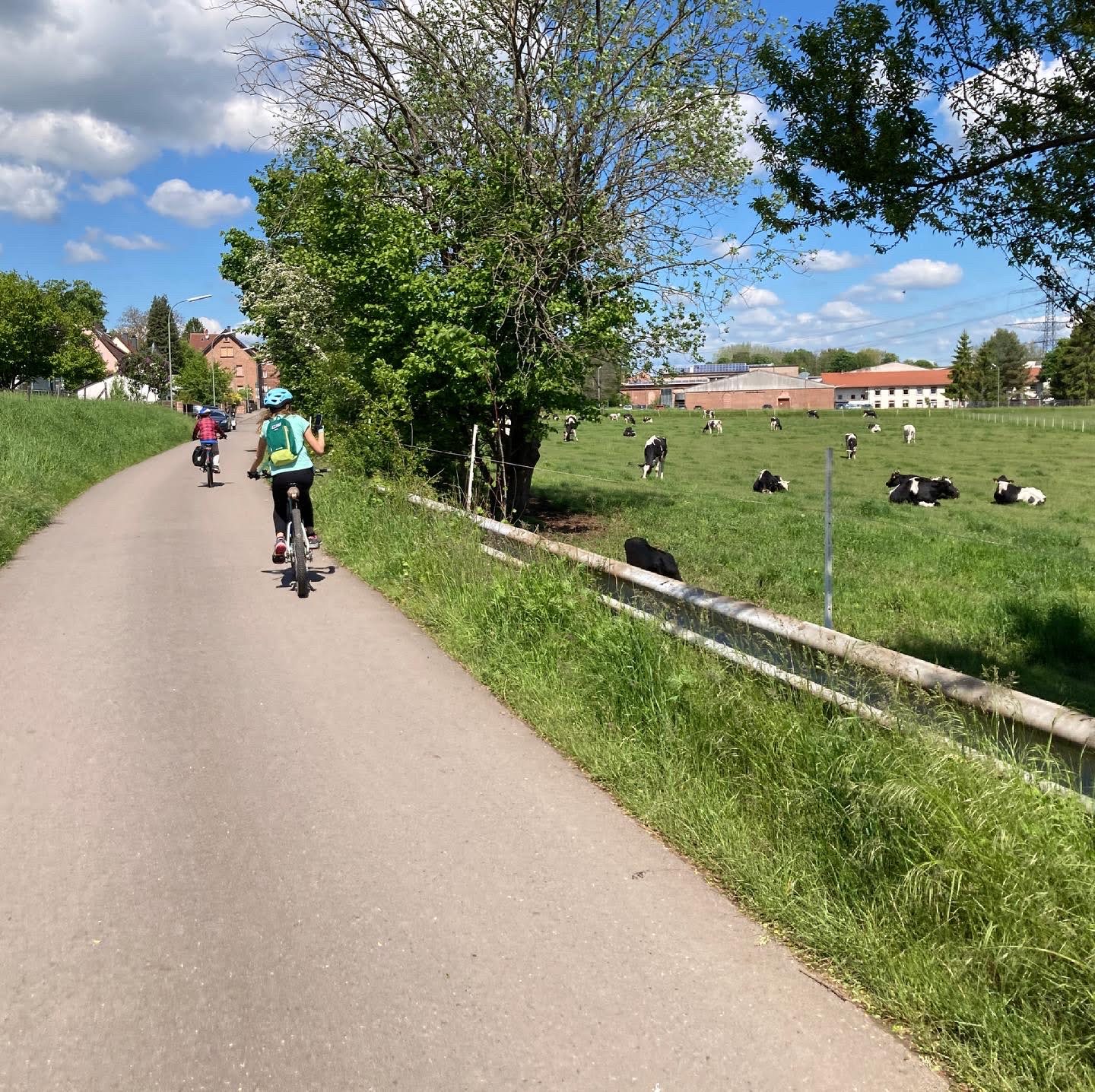 How to Take Advantage of the Plentiful Bike Trails Around Kaiserslautern
