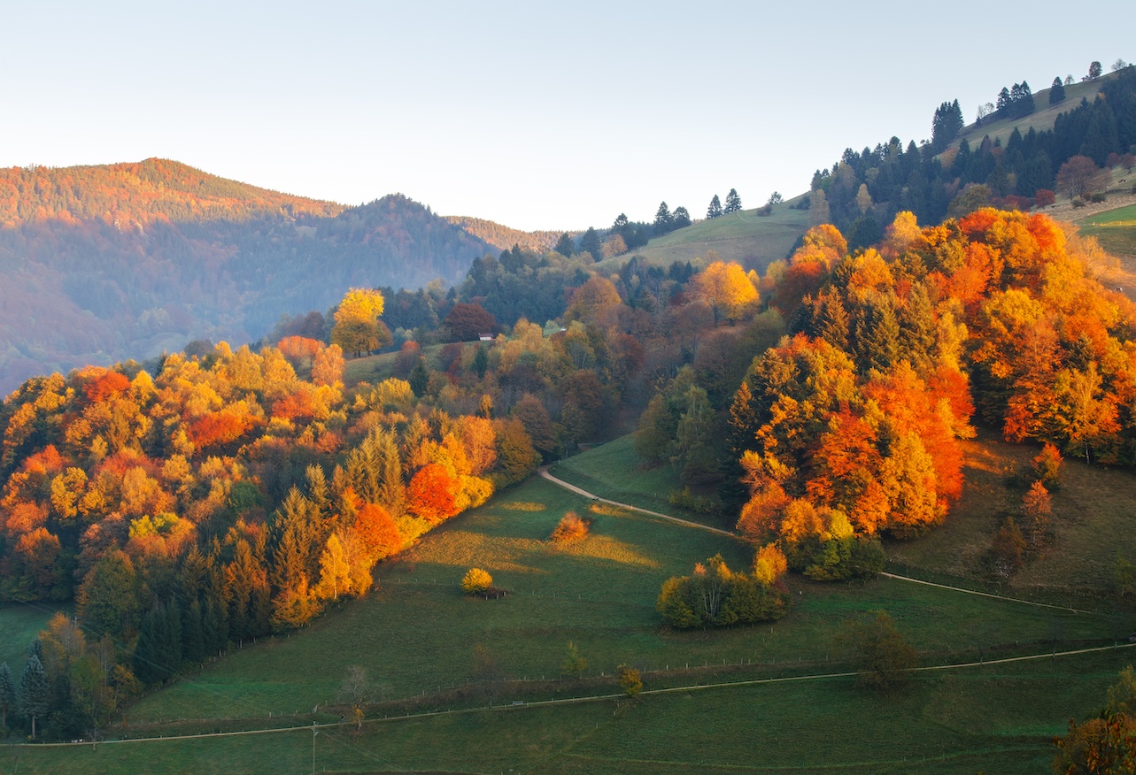 Unbe-leaf-able: 4 places to see amazing autumn colors in Germany ...